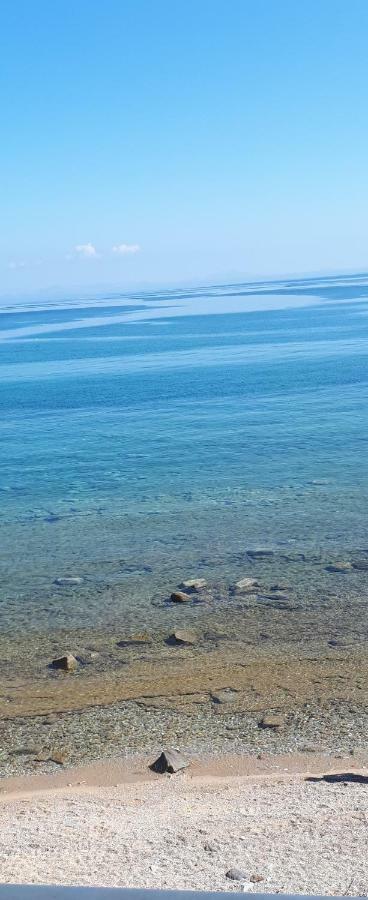 Albatross Seafront House Apartment Naxos City Bagian luar foto